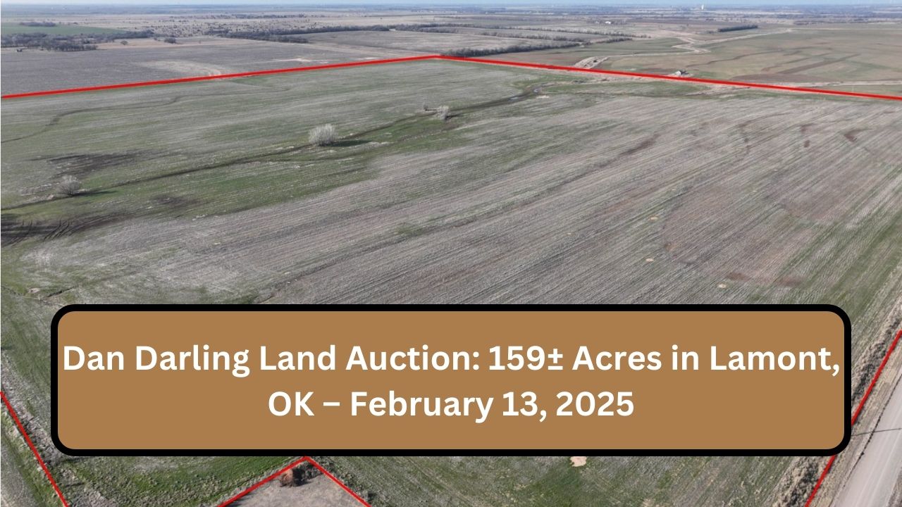 Dan Darling Land Auction