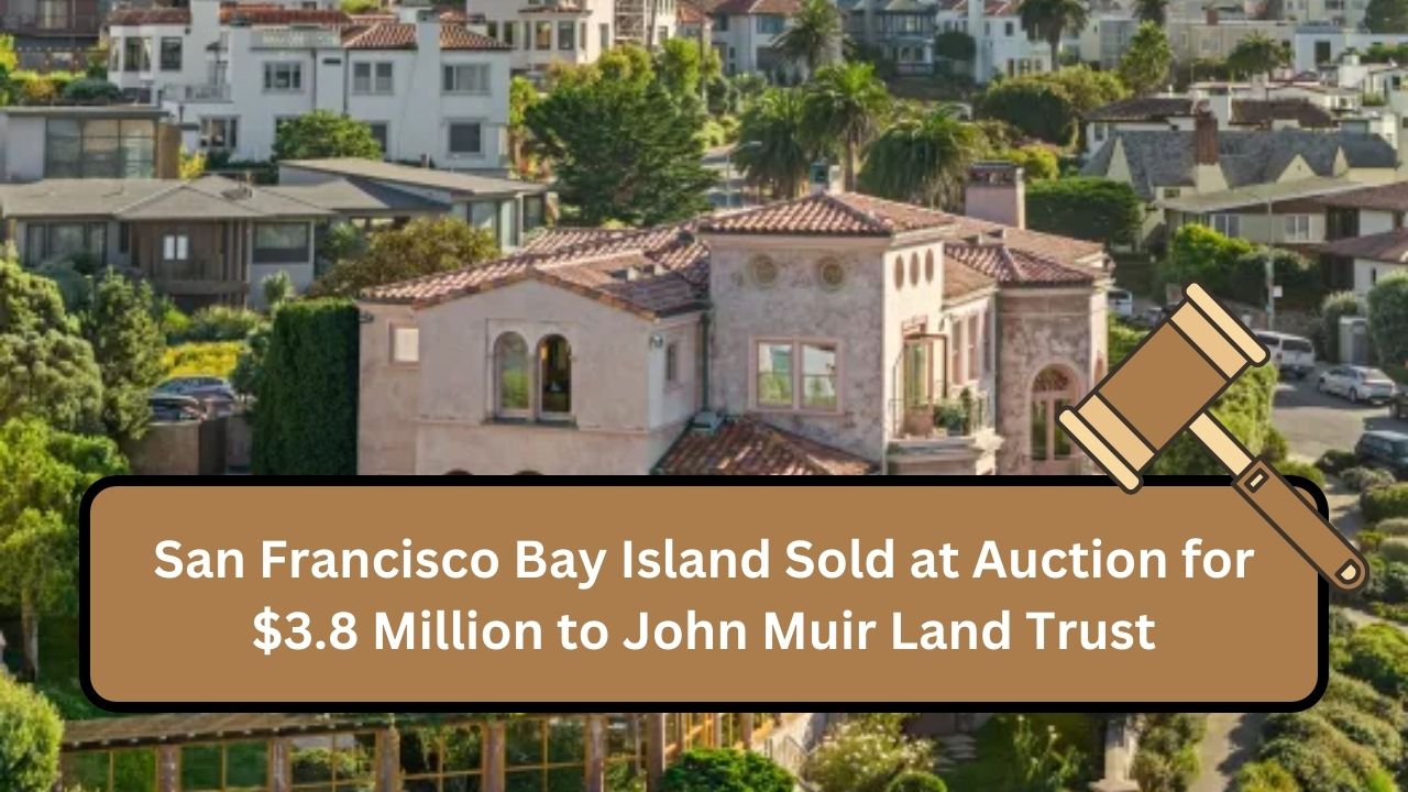 San Francisco Bay Island Sold at Auction for $3.8 Million to John Muir Land Trust